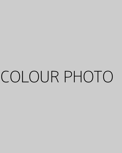 COLOUR PHOTO (2020) poster